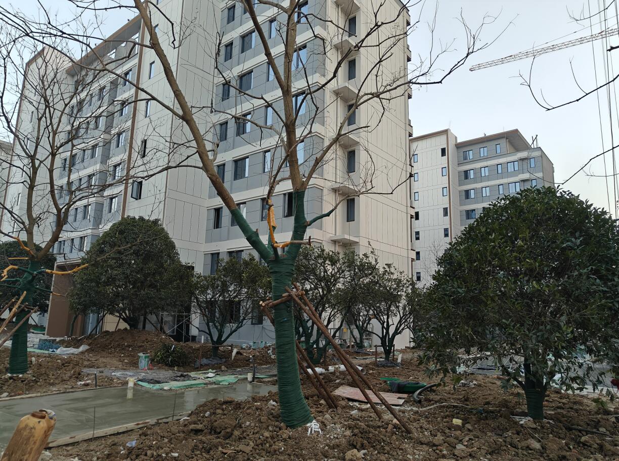 丰宏山水拾光最新工程进度