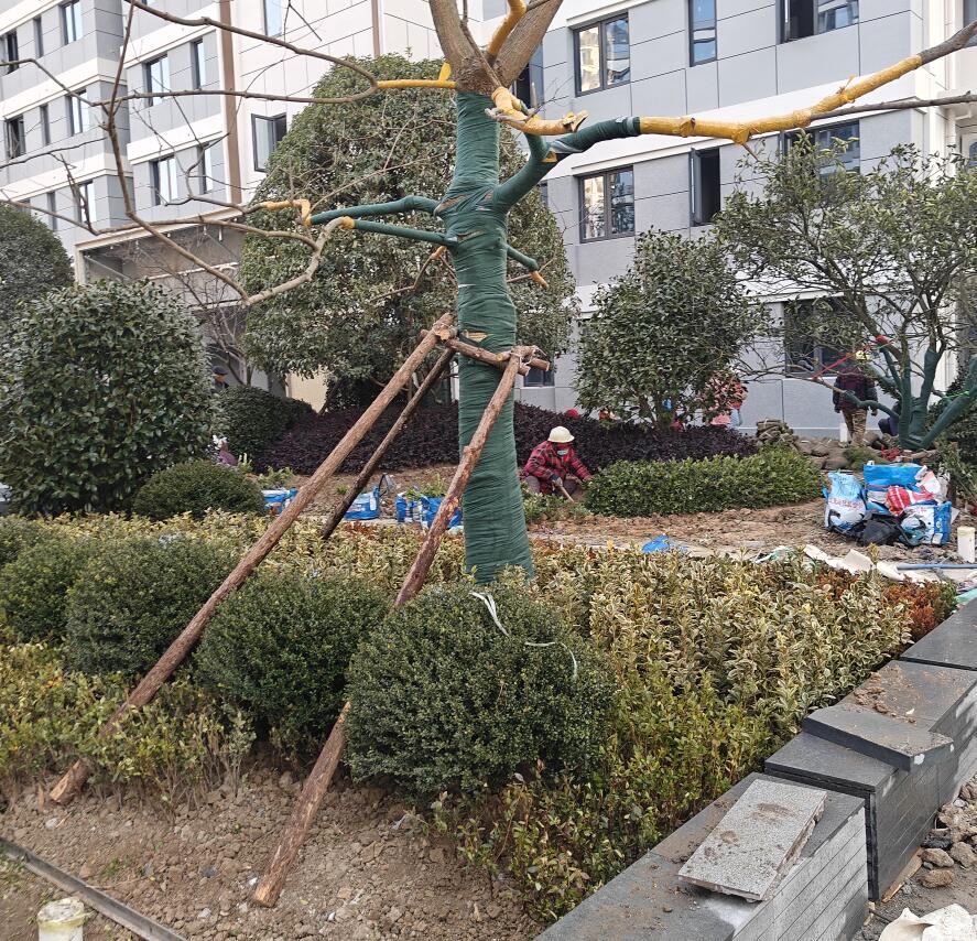 山水拾光最新工程进度,提前交付准现房,准现房学区房